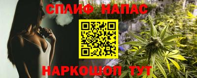 спиды Новодвинск