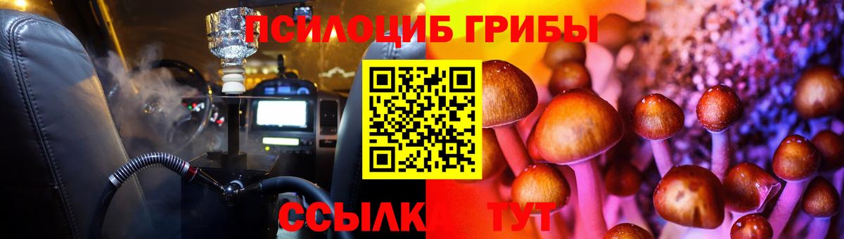 Северск  Галлюциногенные грибы мухоморы  Вход с VPN 